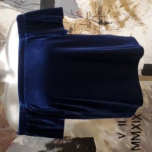 White House Black Market Velvet Sapphire Blue Off Shoulder Blouse Women M